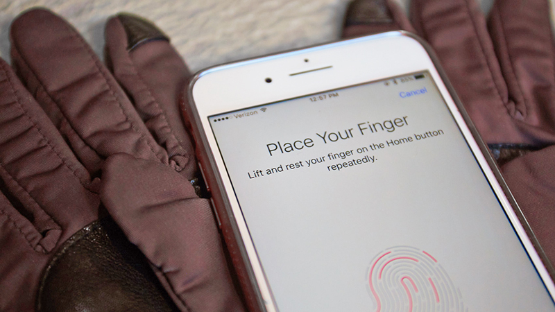 Image: Alex Cranz/Gizmodo